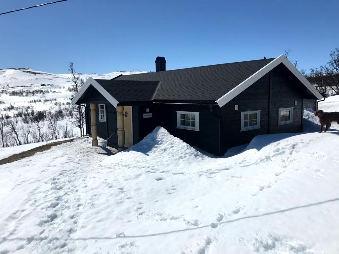 Berntebu Uvdal Exterior photo